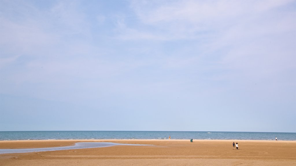 Montrose Beach which includes general coastal views and a sandy beach