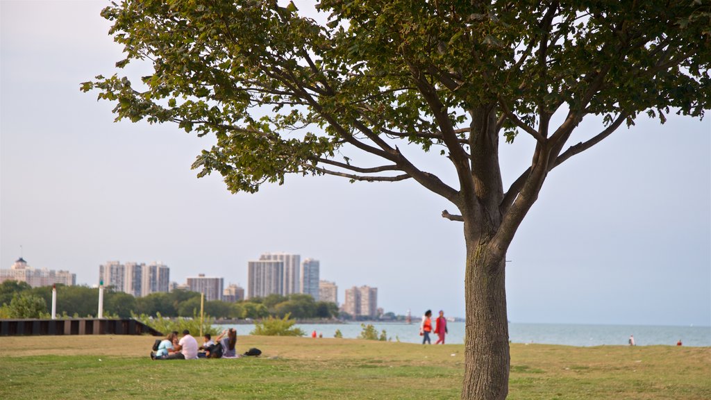 Montrose Beach which includes a coastal town and a garden as well as a small group of people