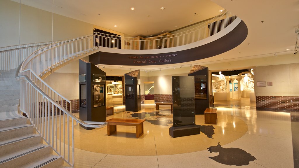 Spurlock Museum featuring interior views