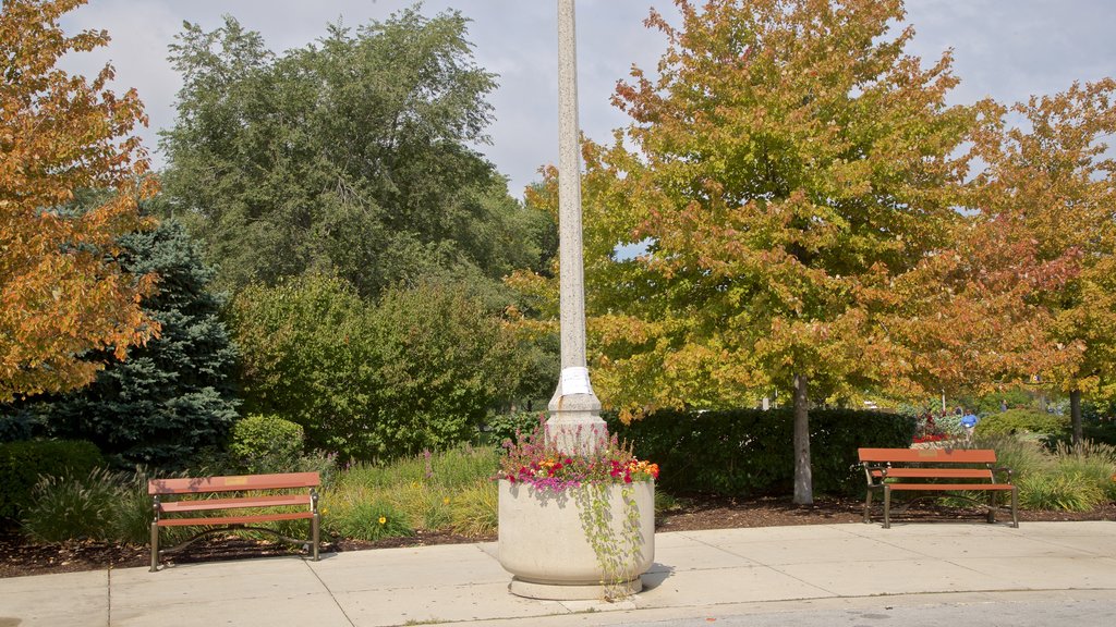 Northerly Island Park que inclui flores e um jardim