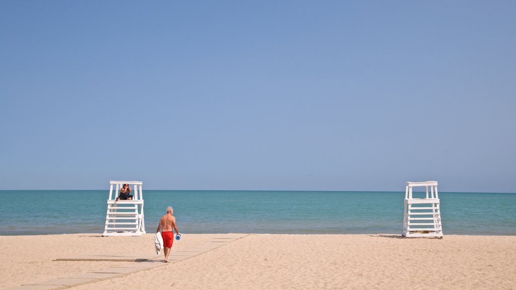 Grosse Point Lighthouse which includes a beach and general coastal views as well as an individual male