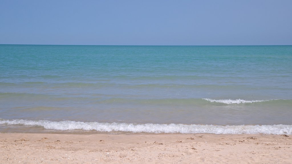 Grosse Point Lighthouse showing general coastal views and a sandy beach