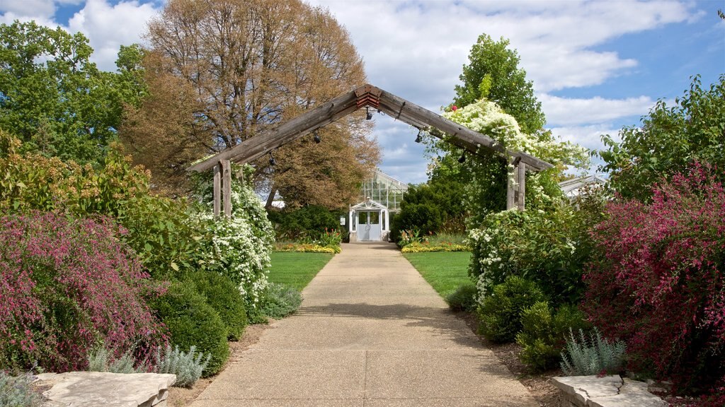 Luthy Botanical Garden showing a garden and wild flowers