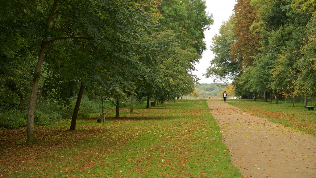 Lydiard Park which includes autumn leaves and a garden