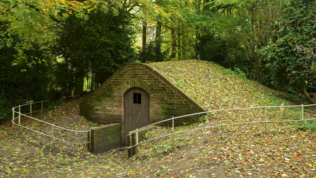 Lydiard Park caracterizando folhas de outono, elementos de patrimônio e um jardim