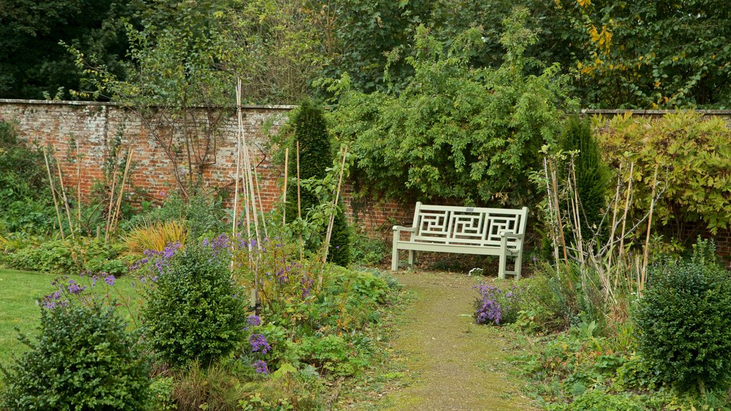 Lydiard Park que inclui flores silvestres e um parque