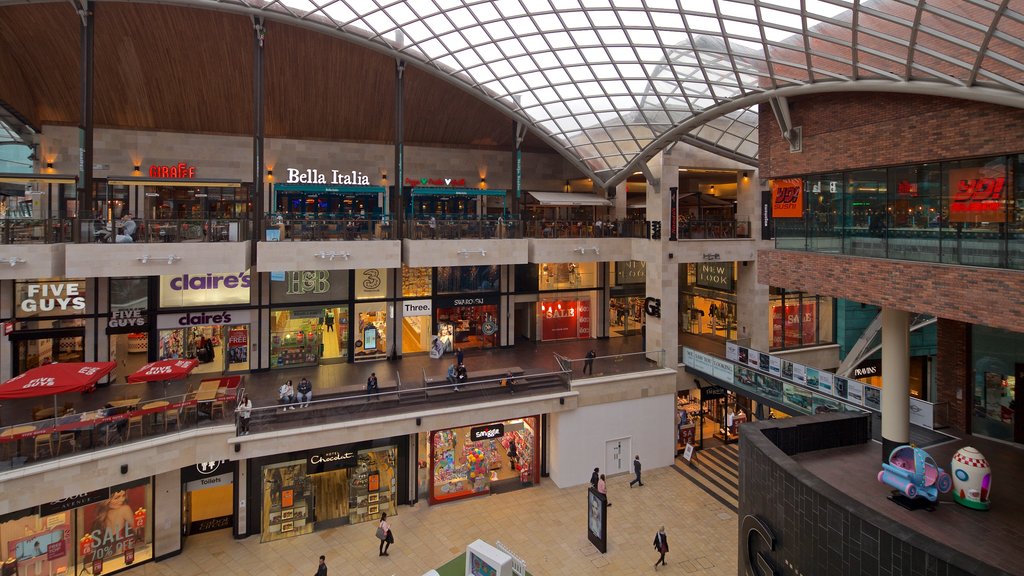 Cabot Circus Shopping Centre which includes shopping and interior views