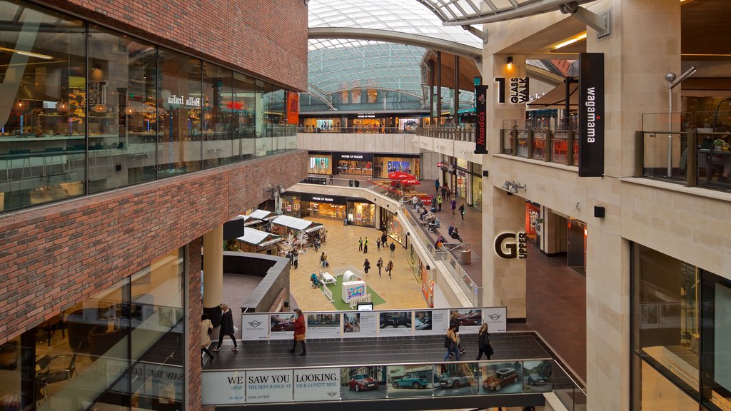 Cabot Circus Shopping Centre which includes shopping and interior views