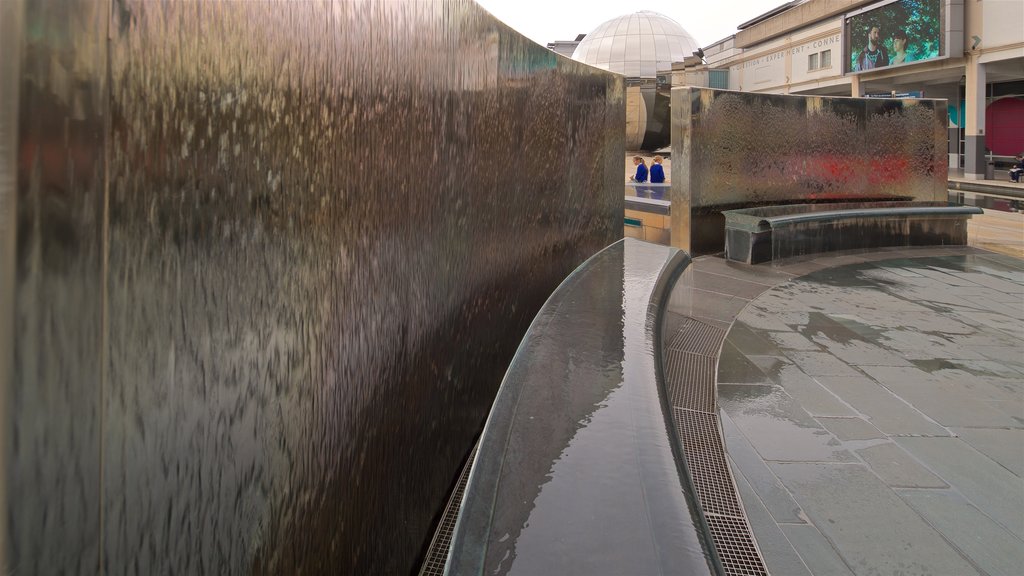 Millennium Square showing a fountain