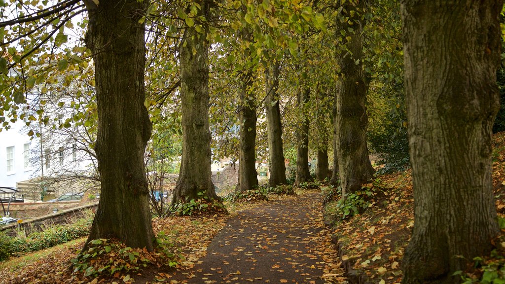 Cabot Tower which includes a garden and autumn colours