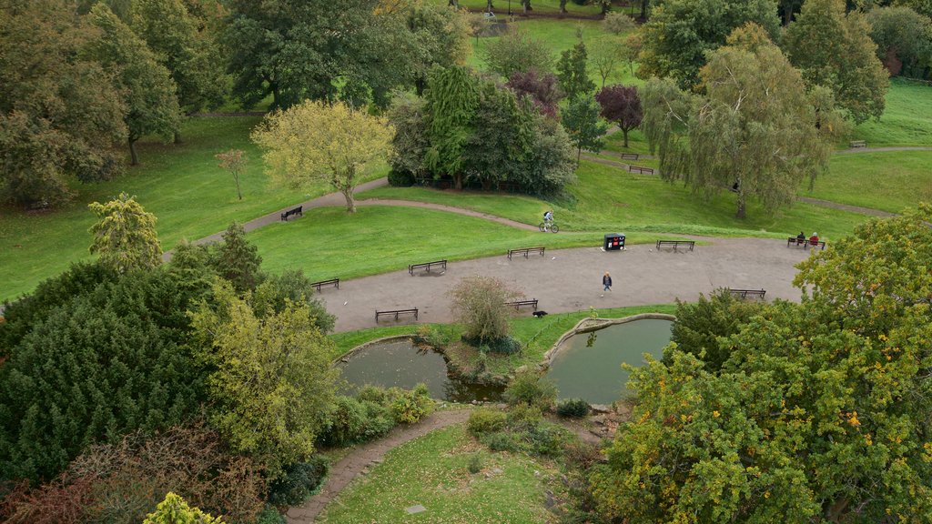 Cabot Tower showing a garden