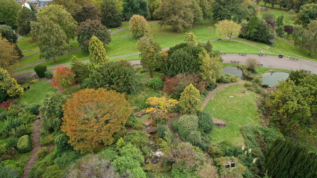 Cabot Tower showing a park