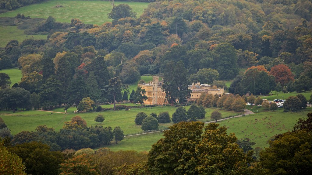 Cabot Tower showing a house, landscape views and tranquil scenes