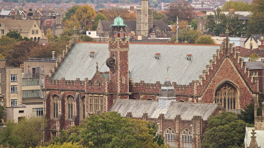 Cabot Tower showing a city, landscape views and heritage architecture