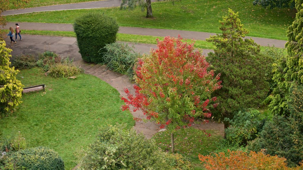 Cabot Tower showing a garden