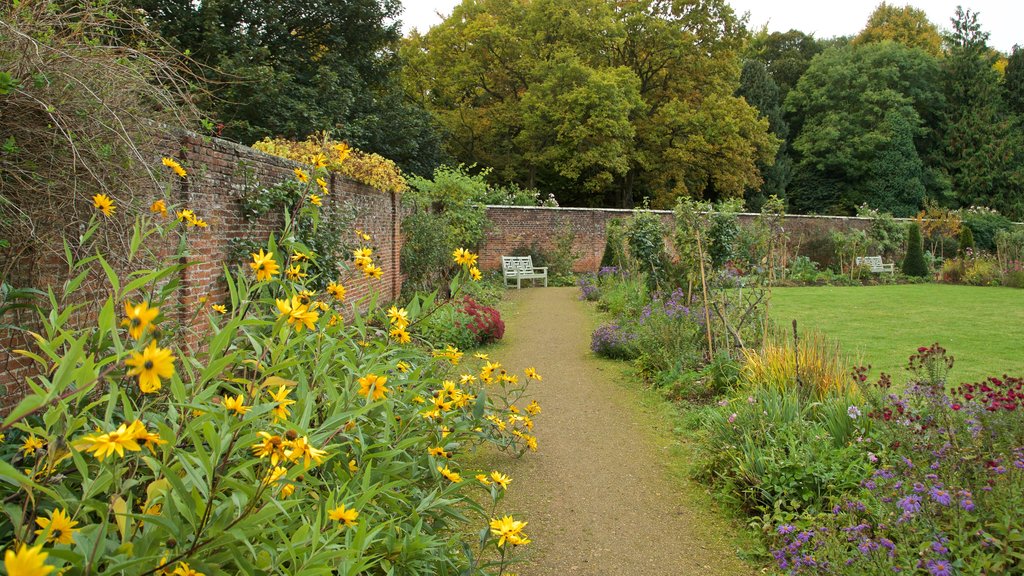 Lydiard Park mostrando flores silvestres y un parque