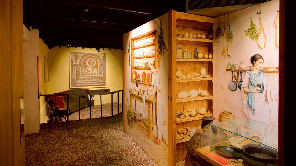 Hull and East Riding Museum showing interior views