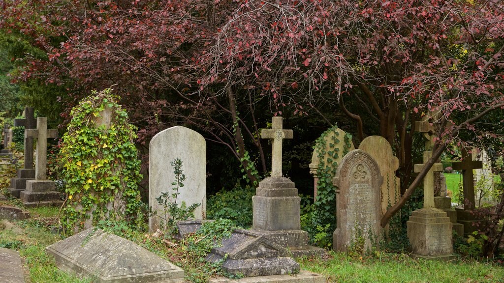 Arnos Vale Cemetery which includes a cemetery