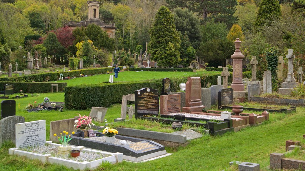 Arnos Vale Cemetery showing a cemetery