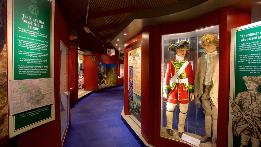 Doncaster Museum and Art Gallery showing signage and interior views