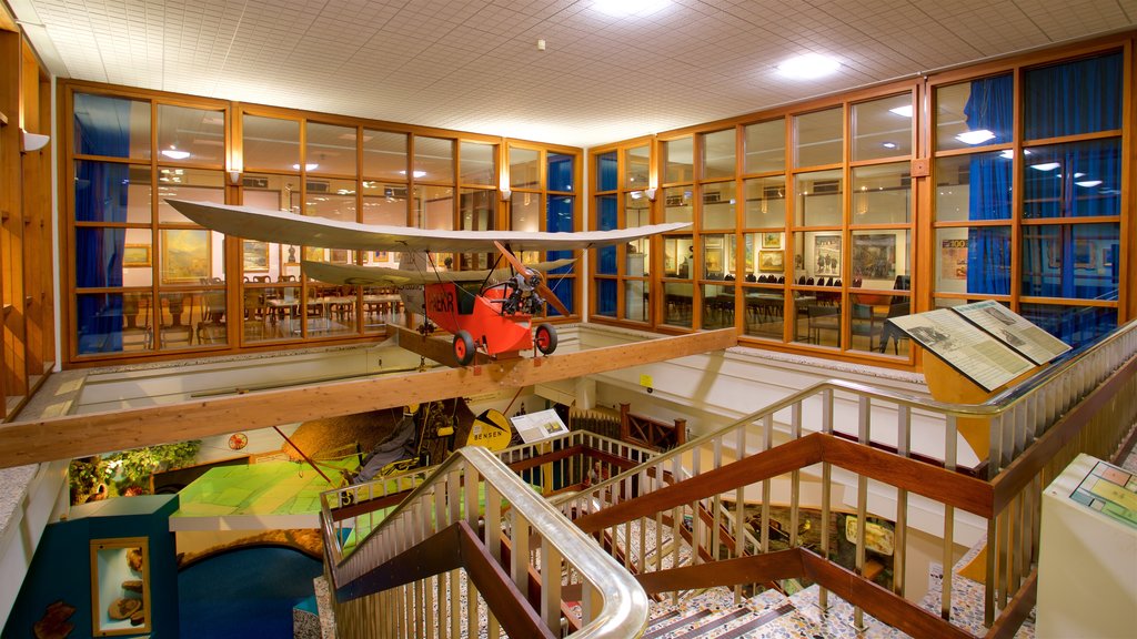 Doncaster Museum and Art Gallery showing interior views