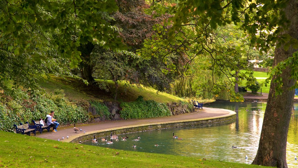 Parque Lister mostrando un parque, un estanque y vida de las aves