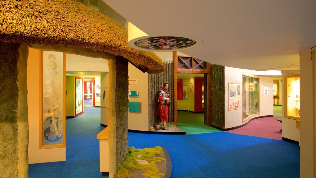 Doncaster Museum and Art Gallery featuring interior views