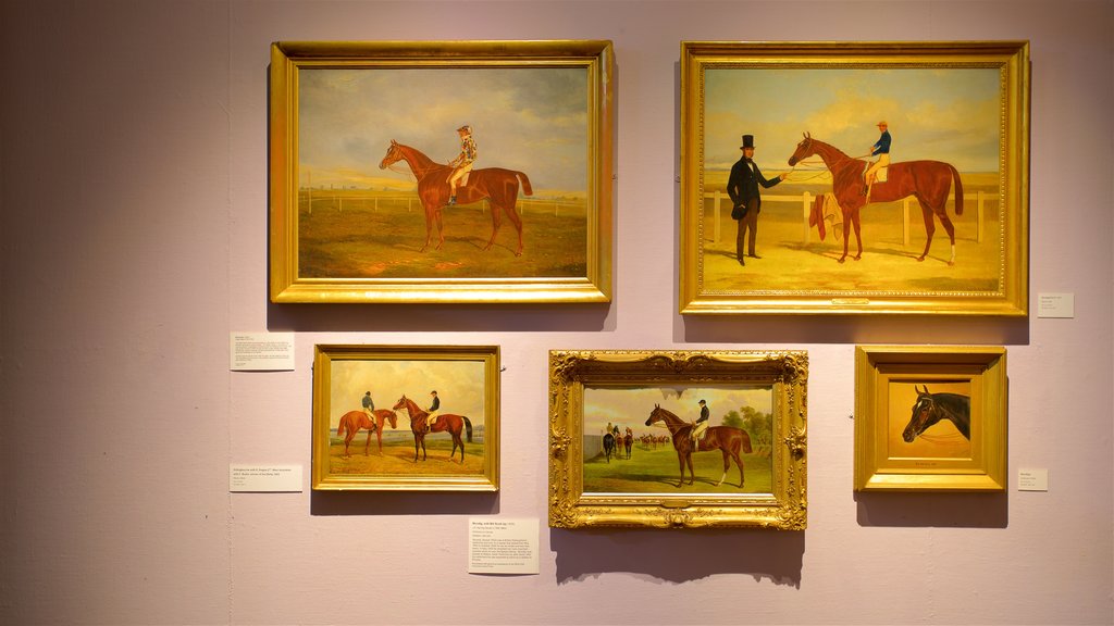 Doncaster Museum and Art Gallery showing art and interior views