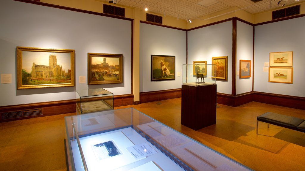 Doncaster Museum and Art Gallery featuring interior views and art