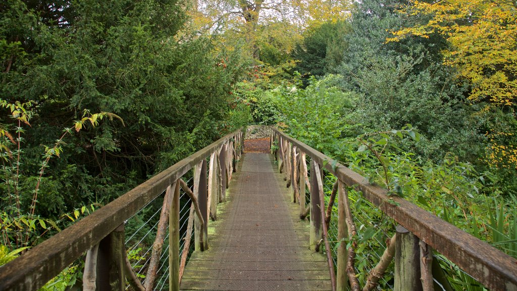 The Plantation Garden showing a bridge