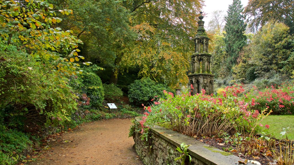 The Plantation Garden showing a park and wild flowers