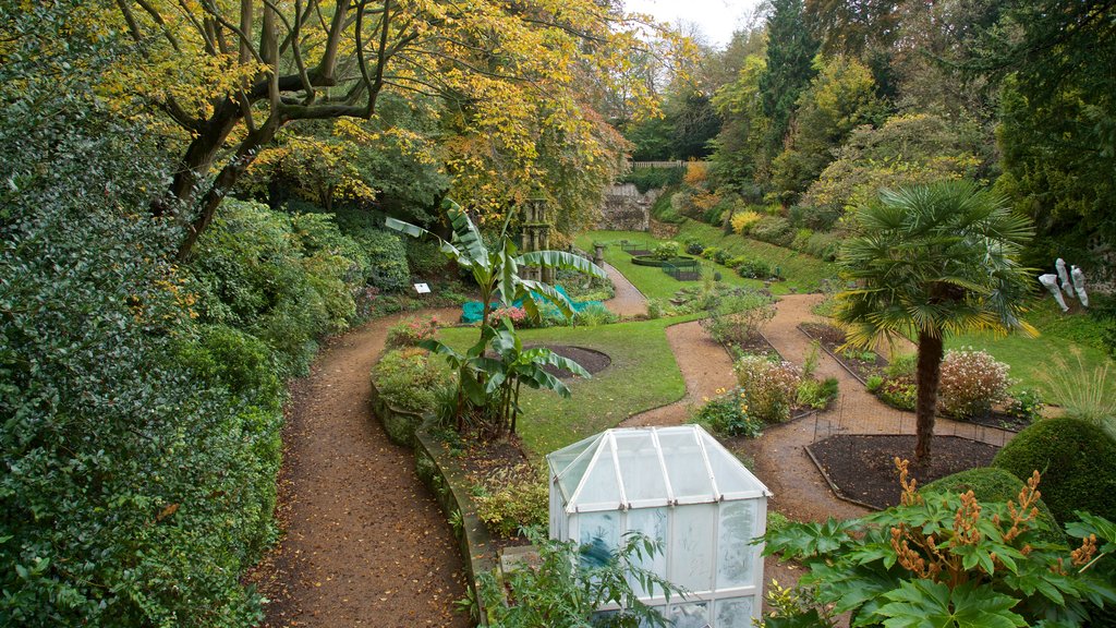 The Plantation Garden which includes a garden