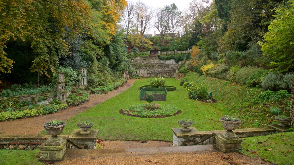 The Plantation Garden showing a garden