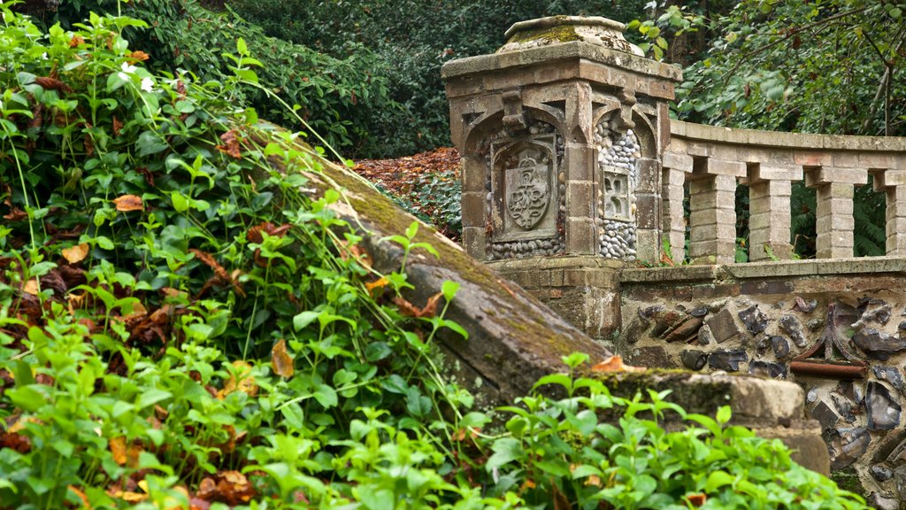 The Plantation Garden showing a garden