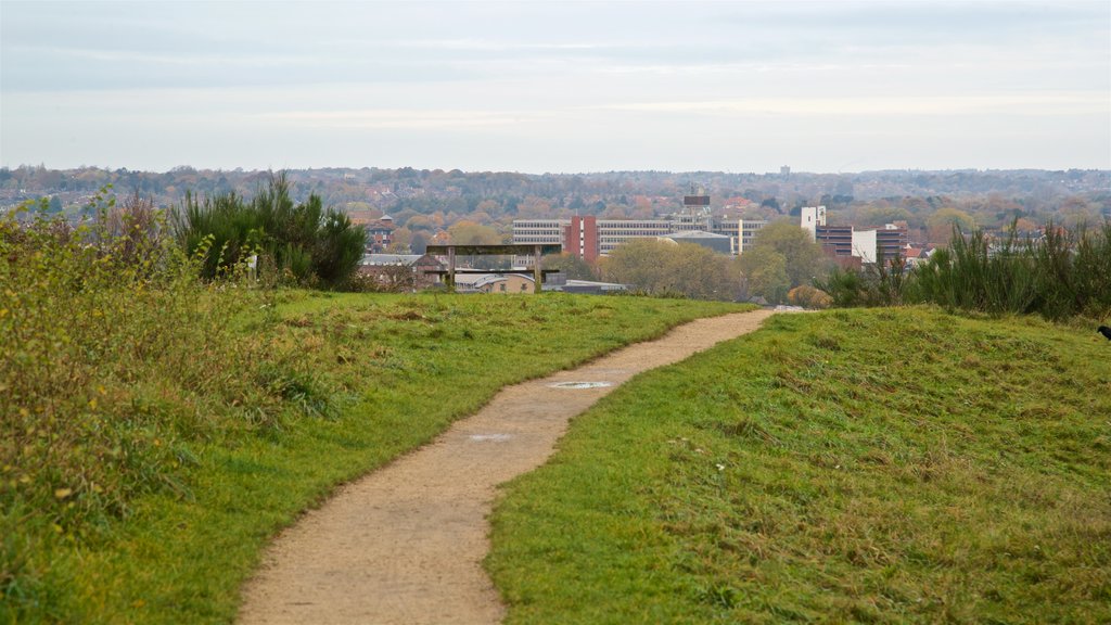 Reserva natural Mousehold Heath mostrando escenas tranquilas y una pequeña ciudad o aldea