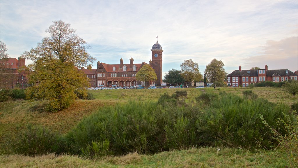 Mousehold Heath som inkluderar en liten stad eller by