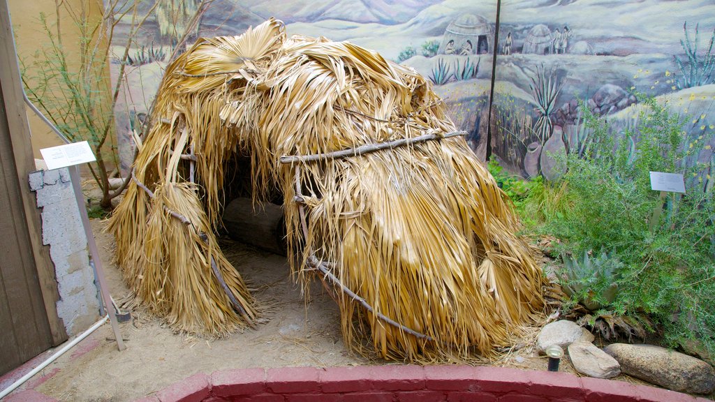 Agua Caliente Cultural Museum que inclui vistas internas