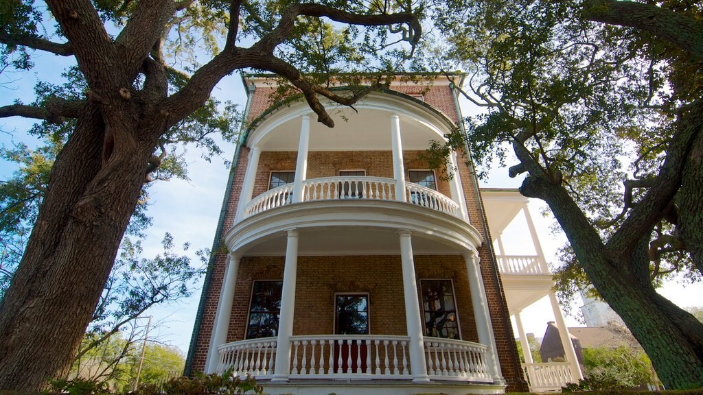 Joseph Manigault House mostrando una casa