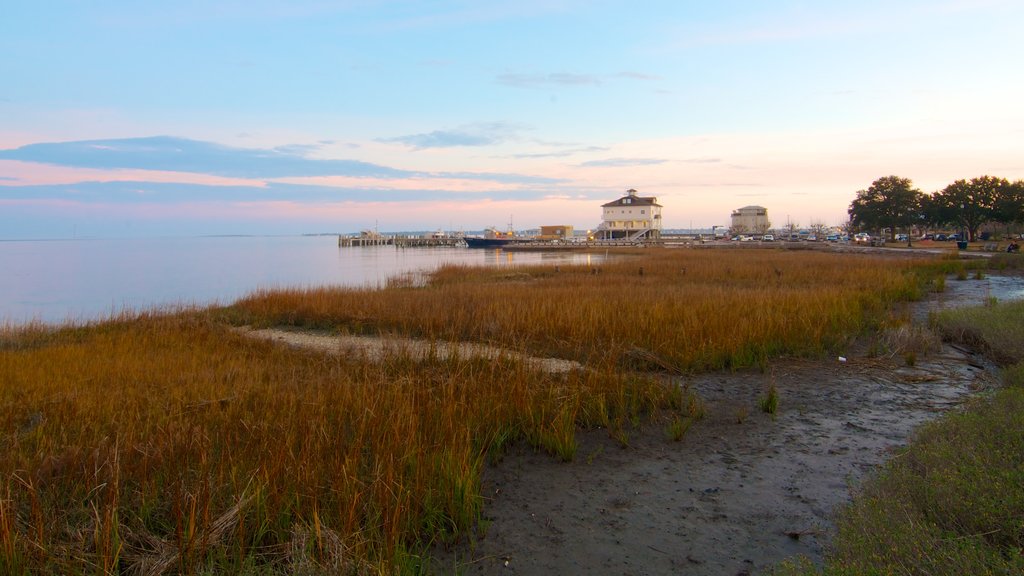 Charleston Waterfront Park featuring general coastal views, landscape views and autumn colours