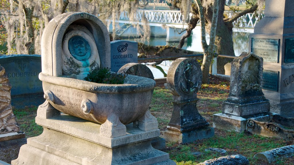 Magnolia Cemetery featuring a memorial and a cemetery