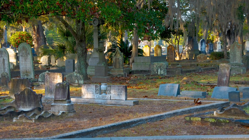 Magnolia Cemetery featuring a memorial and a cemetery