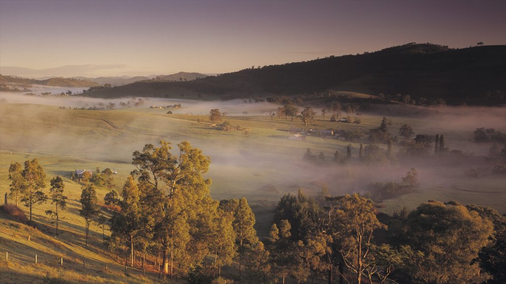 Hunter Valley mostrando vistas de paisajes y neblina o niebla