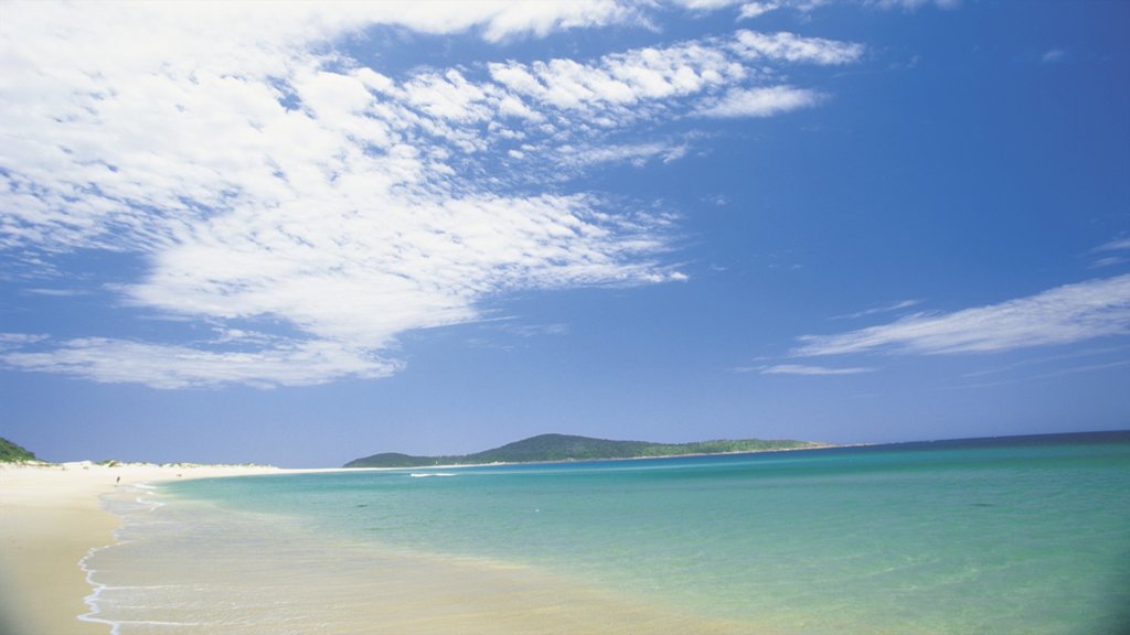 Port Stephens showing a beach, a coastal town and landscape views