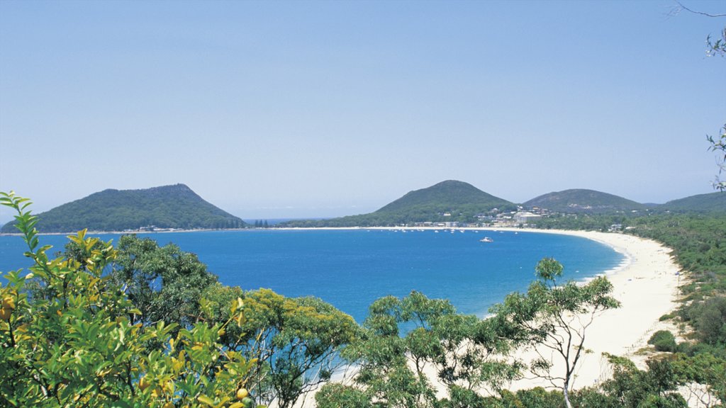 Port Stephens ofreciendo una ciudad costera, una playa de arena y vista panorámica