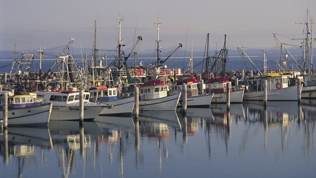 Nelson Bay which includes a coastal town, a marina and boating