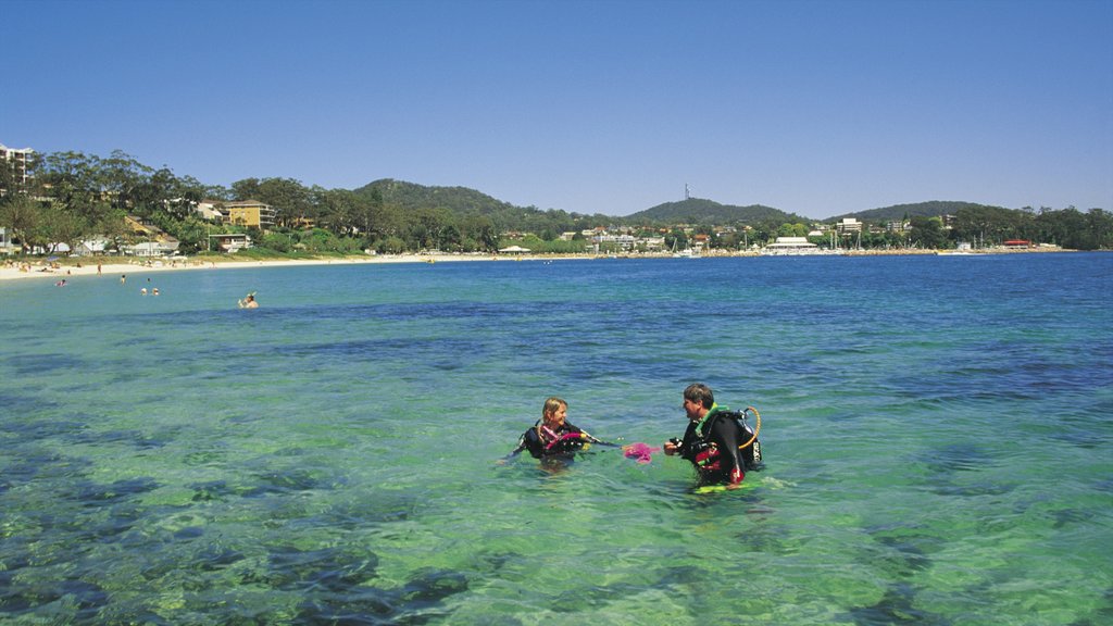 Nelson Bay que incluye vistas de paisajes y vistas generales de la costa