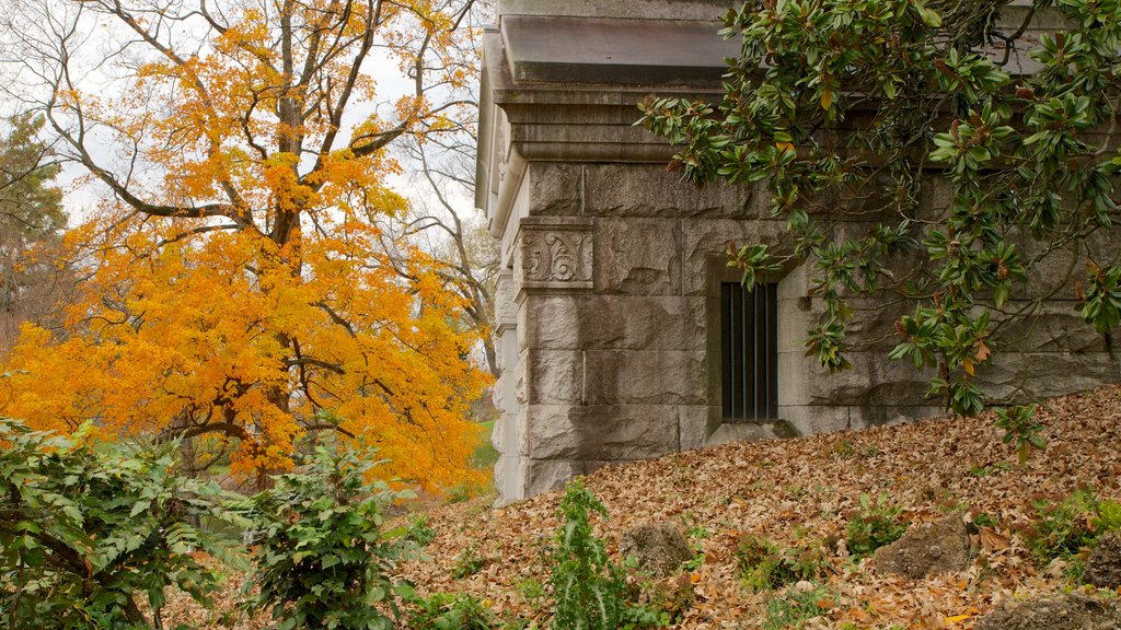 Spring Grove Cemetery som omfatter et mindesmærke, efterårsblade og en kirkegård