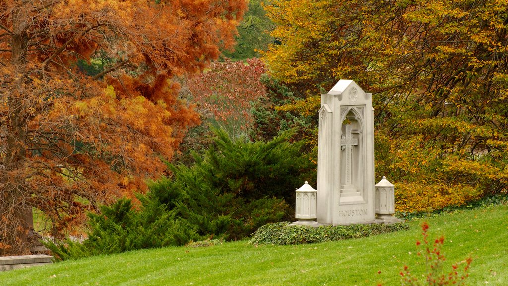 Spring Grove Cemetery som viser en kirkegård, en have og efterårsblade