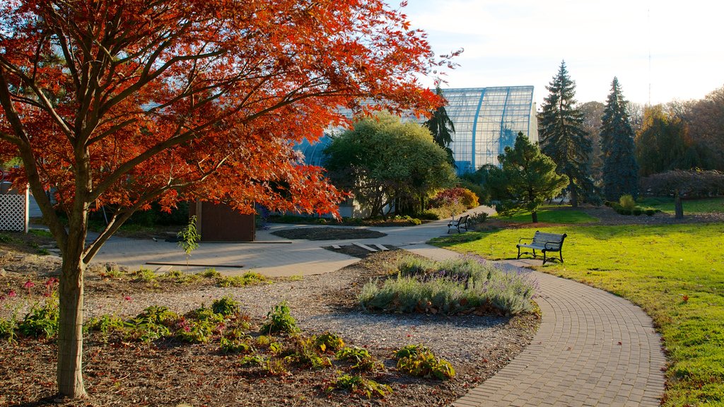 Krohn Conservatory featuring autumn leaves and a park