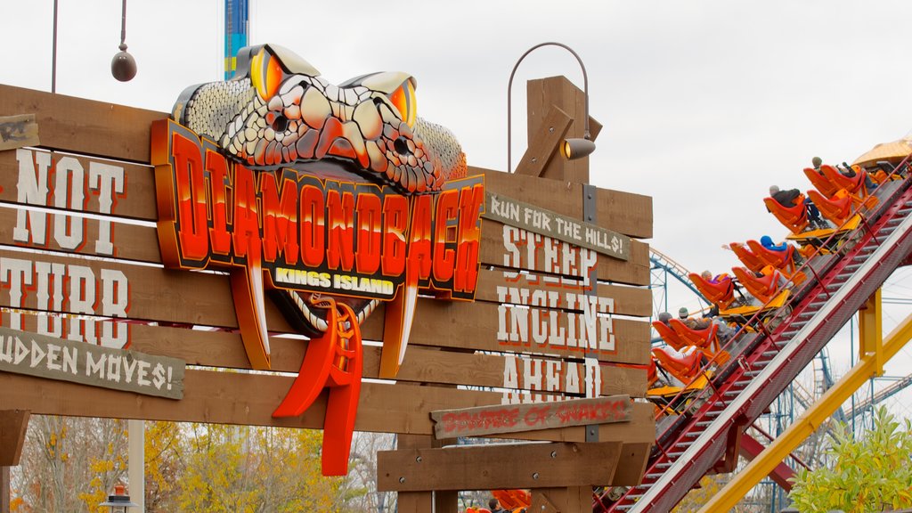 Kings Island featuring signage, art and rides